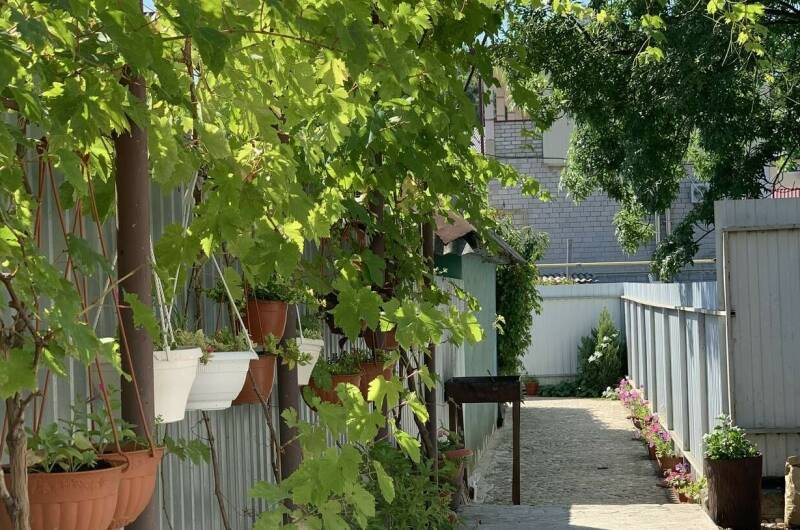 Изображение Изображение гостиницы &quot;Гостевой дом «Tatyana»&quot; #3 #1