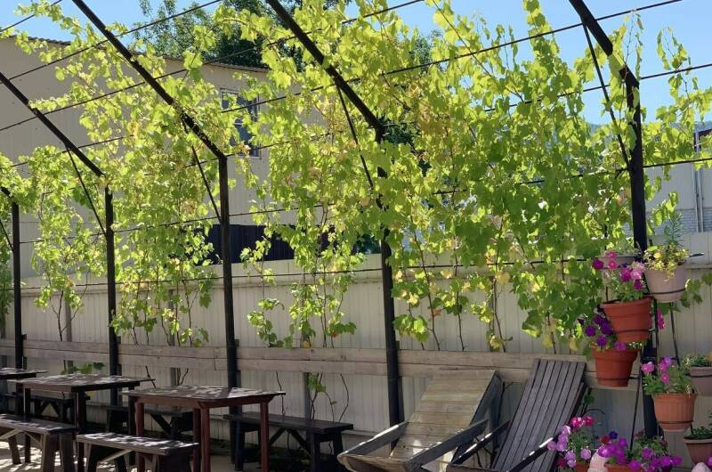 Изображение Изображение гостиницы &quot;Гостевой дом «Tatyana»&quot; #5 #3