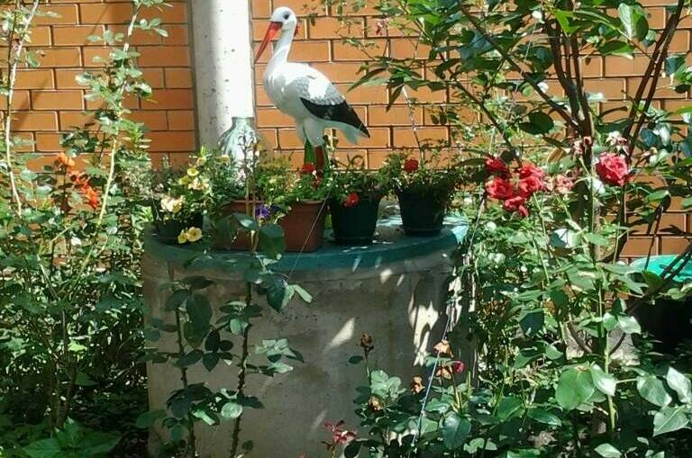 Изображение Изображение гостиницы &quot;Частный сектор «Мелания»&quot; #3 #1