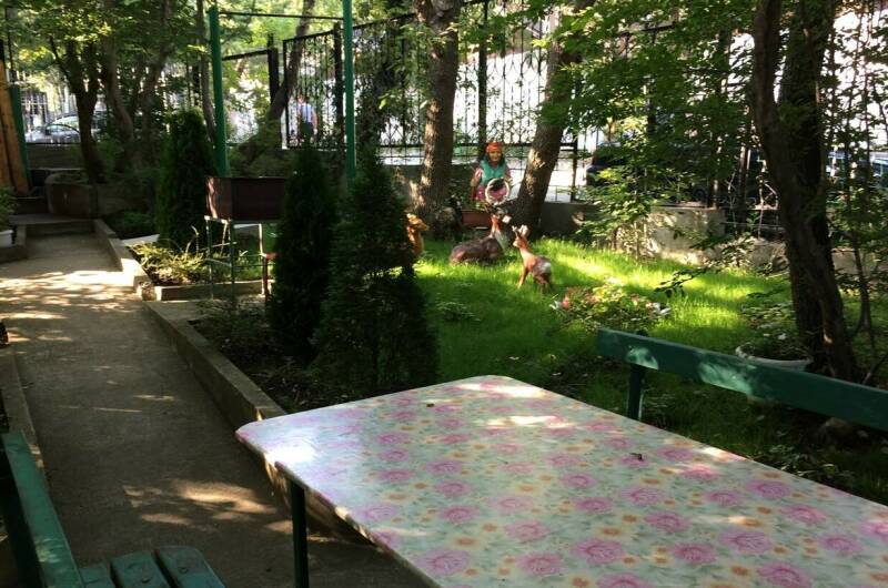 Изображение Изображение гостиницы &quot;Частный сектор «Мелания»&quot; #6 #4