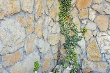 Изображение Изображение гостиницы &quot;Гостевой дом «У Грека»&quot; #11 #9