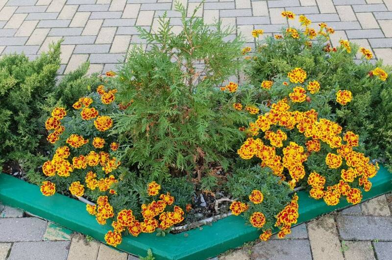 Изображение Изображение гостиницы &quot;Гостевой дом «Семейный»&quot; #9 #7