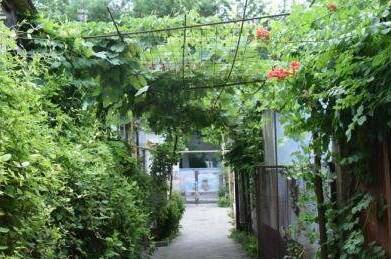 Изображение Изображение квартиры &quot;Уютный домик под ключ с кухней и двориком&quot; #9 #7