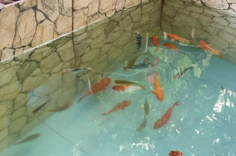 Изображение Изображение гостиницы &quot;Гостевой дом «Светлана»&quot; #6 #4