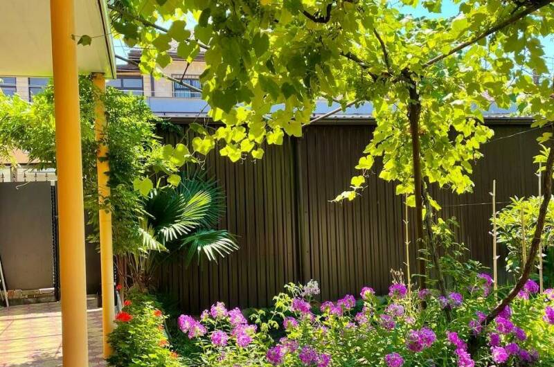 Изображение Изображение гостиницы &quot;Гостевой дом «Светлана»&quot; #7 #5