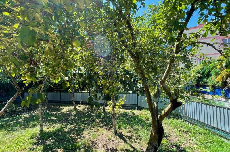 Изображение Изображение гостиницы &quot;Гостевой дом «Светлана»&quot; #8 #6