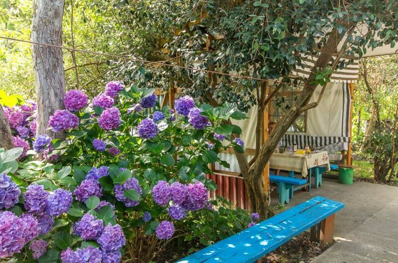 Изображение Изображение гостиницы &quot;Гостевой дом «У Татьяны»&quot; #3 #1