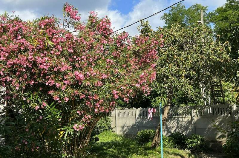 Изображение Изображение гостиницы &quot;Гостевой дом «У Татьяны»&quot; #4 #2