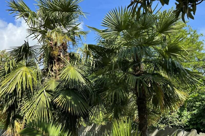 Изображение Изображение гостиницы &quot;Гостевой дом «У Татьяны»&quot; #6 #4