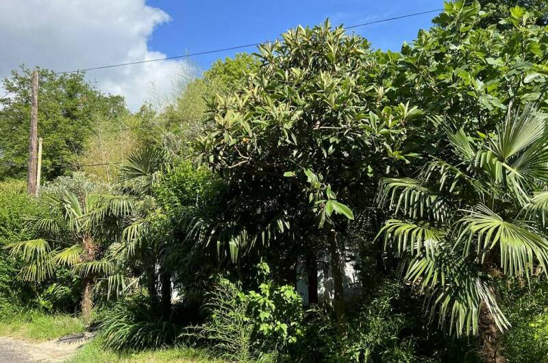 Изображение Изображение гостиницы &quot;Гостевой дом «У Татьяны»&quot; #10 #8