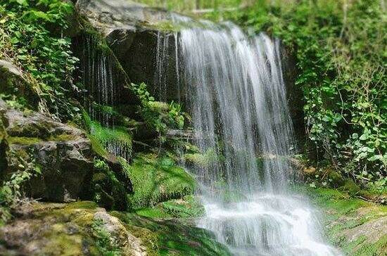 Изображение Изображение гостиницы &quot;Гостевой дом «Олимпик»&quot; #8 #6