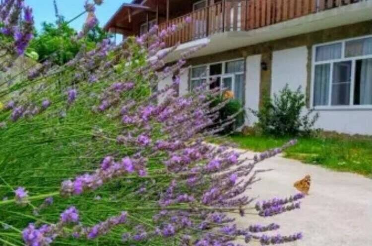 Изображение Изображение гостиницы &quot;Гостевой дом «Терра»&quot; #7 #5