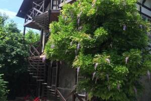 Изображение отеля / гостиницы "Дом на Кирпичной 6"