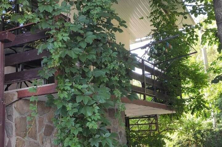 Изображение Изображение гостиницы &quot;Дом на Кирпичной 6&quot; #9 #7