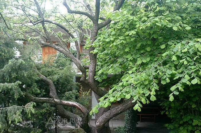 Изображение Изображение гостиницы &quot;Дом на Кирпичной 6&quot; #11 #9