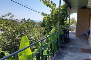 Изображение отеля / гостиницы "Гостевой дом «Ника»"