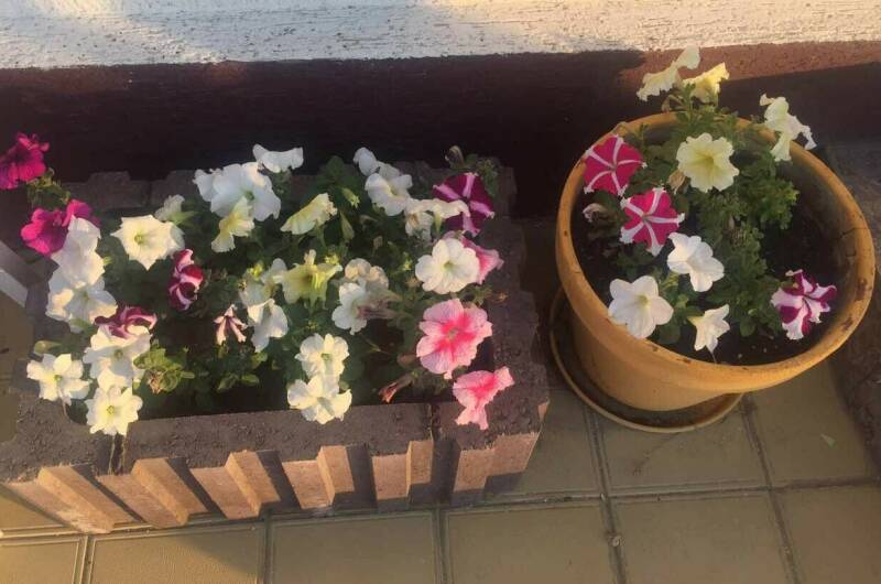 Изображение Изображение гостиницы &quot;Гостевой дом на Приазовской&quot; #8 #6