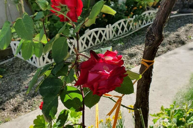 Изображение Изображение гостиницы &quot;Гостевой дом «Мека»&quot; #5 #3