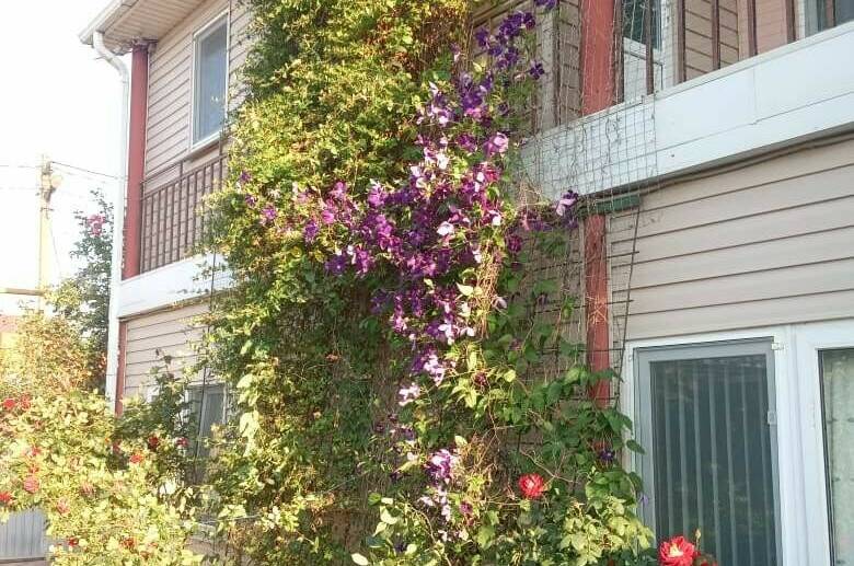 Изображение Изображение гостиницы &quot;Гостевой дом «Любовь»&quot; #9 #7