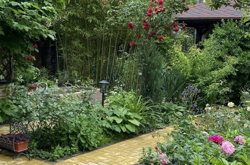 Изображение Изображение гостиницы &quot;Частное домовладение на Партизанской&quot; #4 #2