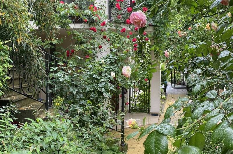 Изображение Изображение гостиницы &quot;Частное домовладение на Партизанской&quot; #5 #3