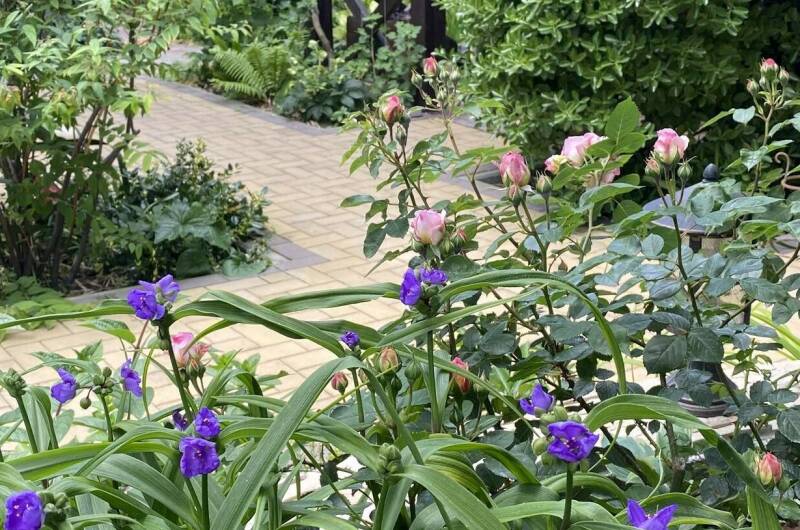 Изображение Изображение гостиницы &quot;Частное домовладение на Партизанской&quot; #6 #4