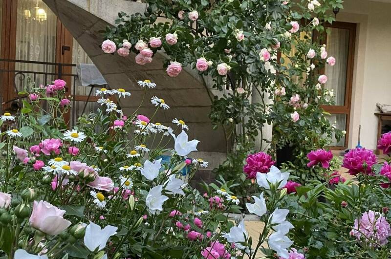 Изображение Изображение гостиницы &quot;Частное домовладение на Партизанской&quot; #11 #9