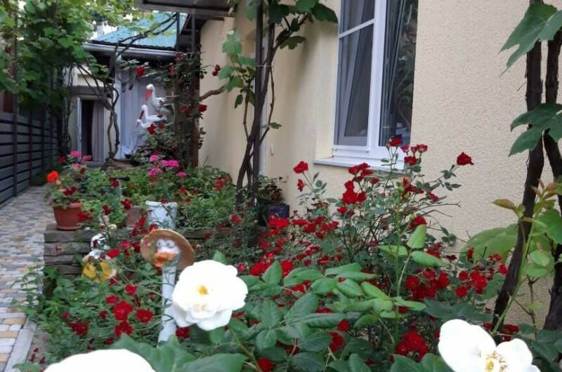 Изображение Изображение гостиницы &quot;Гостевой дом «Золотая Рыбка»&quot; #4 #2