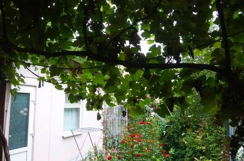 Изображение Изображение квартиры &quot;Дом под ключ «Зеленый дворик»&quot; #6 #4