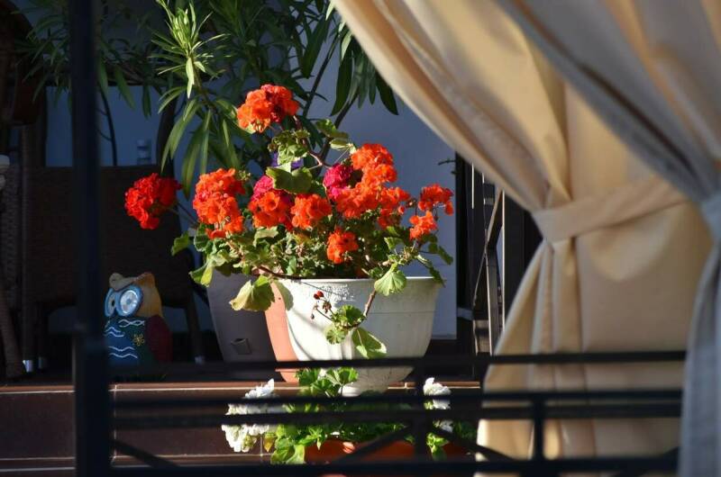 Изображение Изображение гостиницы &quot;Гостевой дом «Лавандовый дворик»&quot; #4 #2