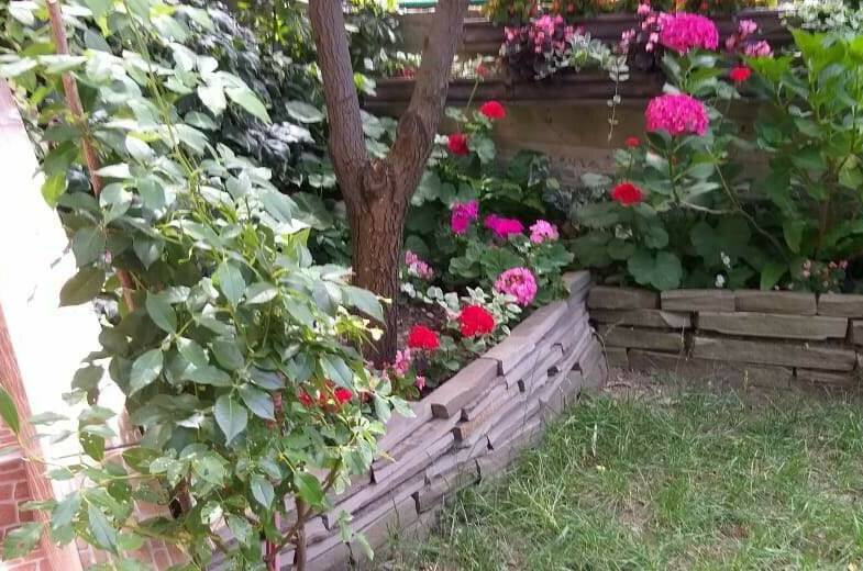 Изображение Изображение гостиницы &quot;Гостевой дом «Бриз Лоо»&quot; #8 #6