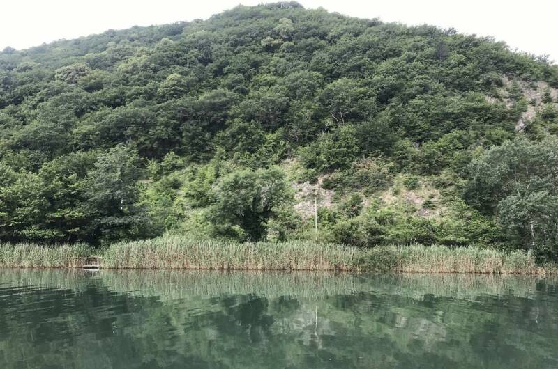 Изображение Изображение гостиницы &quot;Апартаменты «Белая береза»&quot; #5 #3