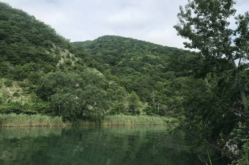 Изображение Изображение гостиницы &quot;Апартаменты «Белая береза»&quot; #9 #7