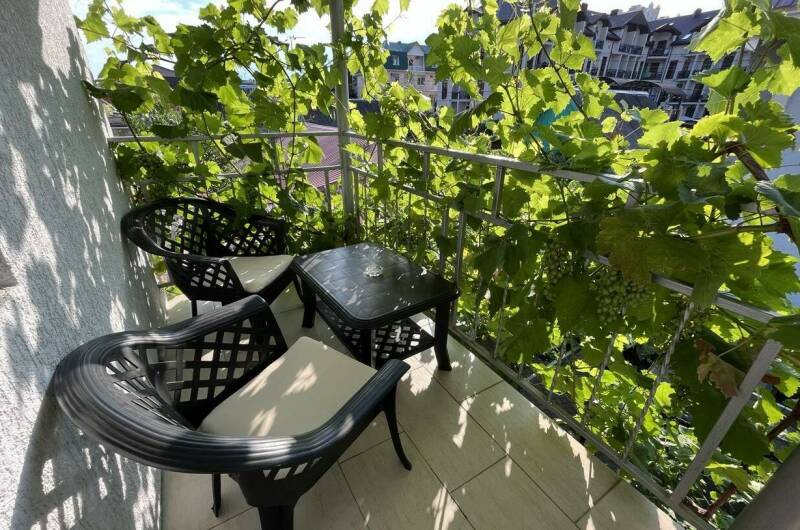 Изображение Изображение гостиницы &quot;Частный дом «Тенистый дворик»&quot; #5 #3