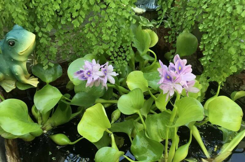 Изображение Изображение гостиницы &quot;Частный дом «Тенистый дворик»&quot; #9 #7