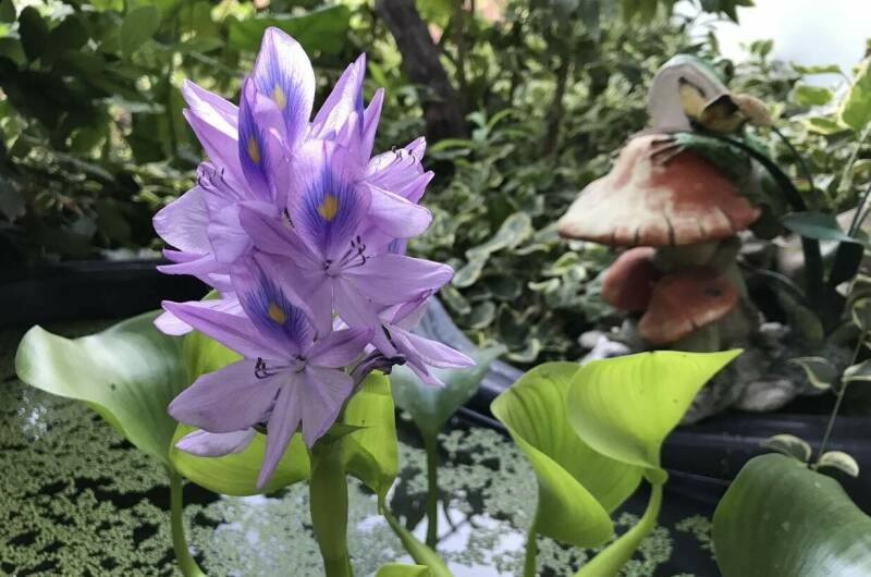 Изображение Изображение гостиницы &quot;Частный дом «Тенистый дворик»&quot; #10 #8