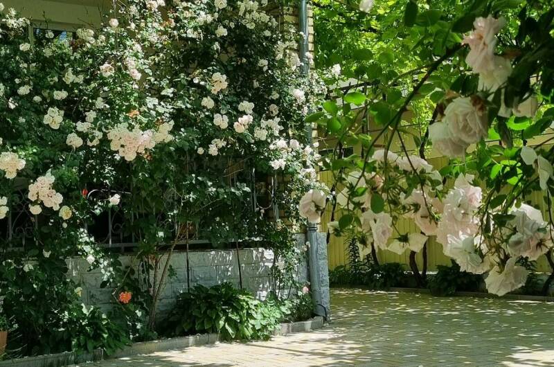 Изображение Изображение гостиницы &quot;Гостевой дом «София»&quot; #5 #3