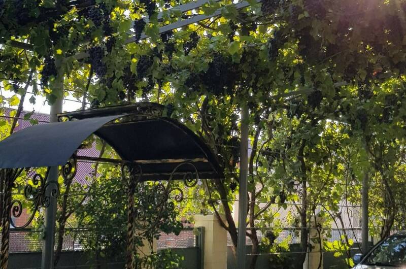 Изображение Изображение гостиницы &quot;Гостевой дом «София»&quot; #9 #7