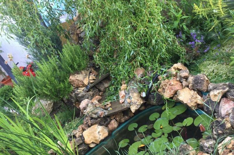 Изображение Изображение гостиницы &quot;Гостевой дом «Море»&quot; #10 #8