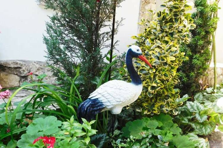 Изображение Изображение гостиницы &quot;Мини-гостиница «Галина»&quot; #4 #2