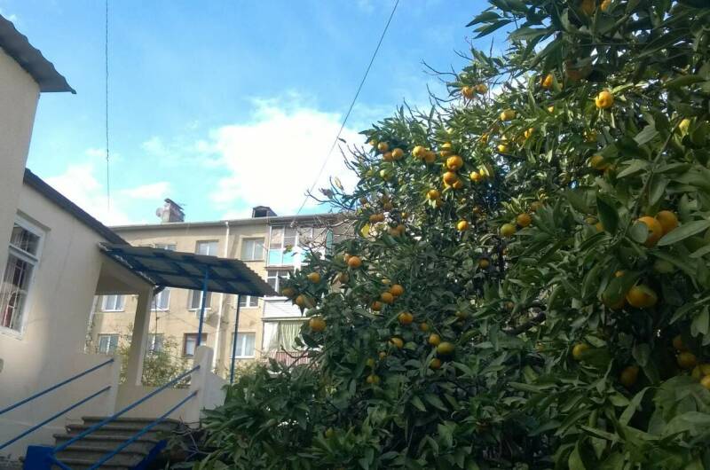 Изображение Изображение гостиницы &quot;Гостевой дом «у Саркиса»&quot; #4 #2