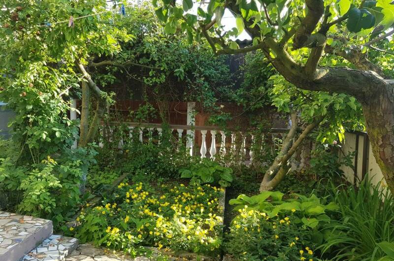 Изображение Изображение гостиницы &quot;Гостевой дом «Амина»&quot; #3 #1