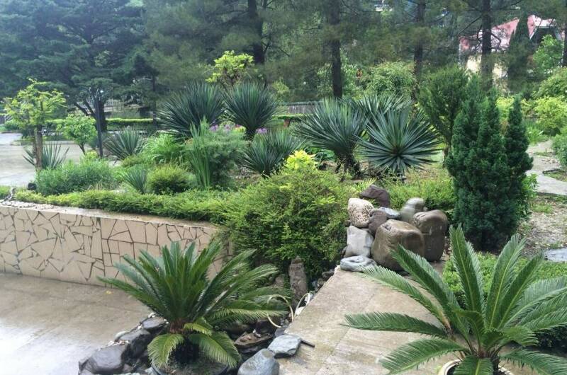 Изображение Изображение гостиницы &quot;Гостевой дом «Янтарь»&quot; #4 #2