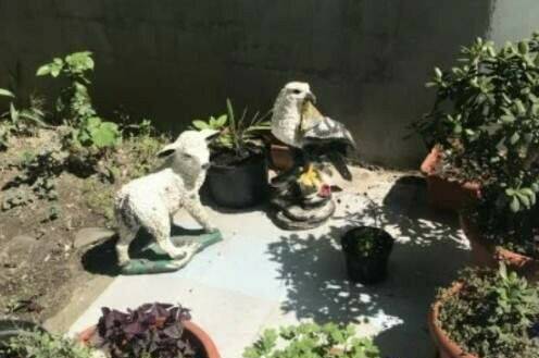 Изображение Изображение гостиницы &quot;Гостевой дом «На Чкалова»&quot; #4 #2