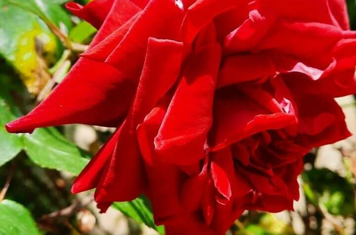 Изображение Изображение гостиницы &quot;Комнаты для отдыха «Алые паруса»&quot; #8 #6