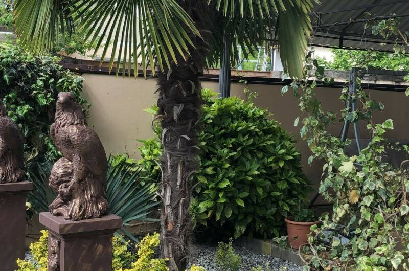 Изображение Изображение гостиницы &quot;Частный дом на Огородном&quot; #3 #1