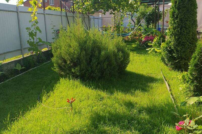 Изображение гостиницы "Гостевой дом «У Татьяны»" #1