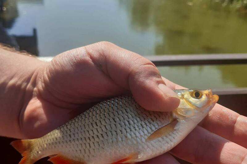 Изображение Изображение гостиницы &quot;Гостевой дом «Венеция»&quot; #9 #7