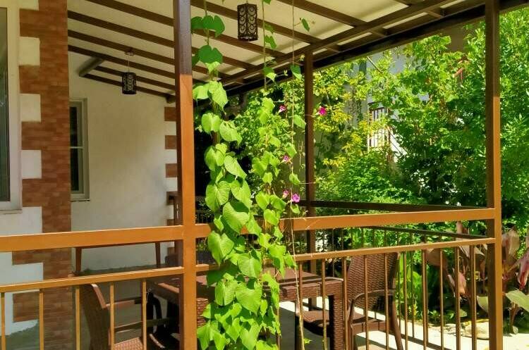 Изображение Изображение гостиницы &quot;Гостевой дом «Соларис»&quot; #10 #8