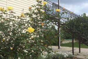 Изображение отеля / гостиницы "Гостевой дом «Афая»"